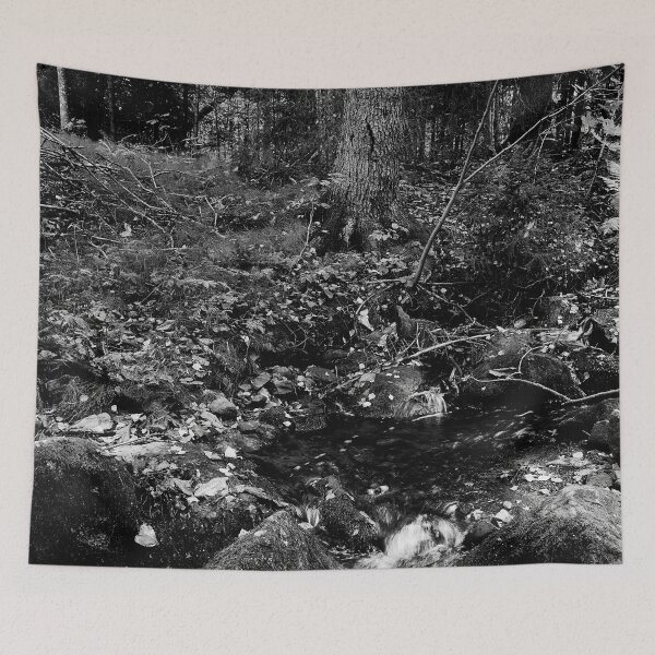 Item preview, By the brook.. Haavisto 2024 bw designed and sold by Jouko Lehto Photography.