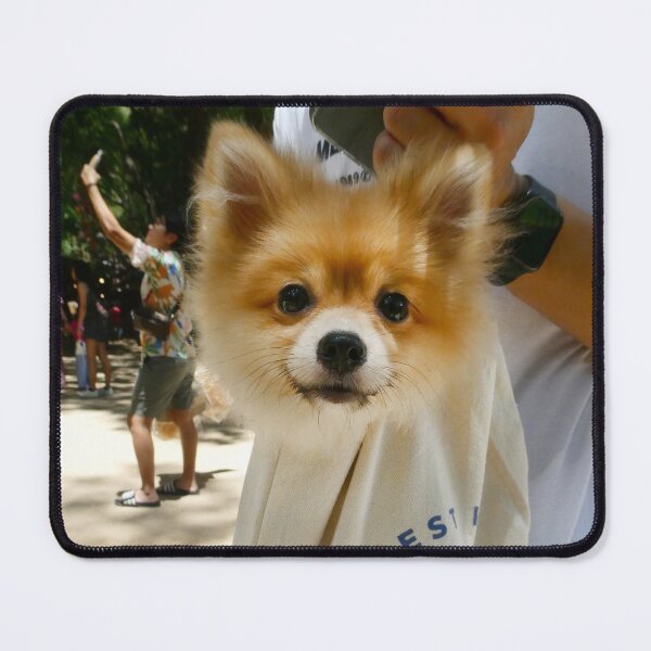 Item preview, Takeaway Dog, Opoi Market, Myanmar border. designed and sold by JonDelorme.