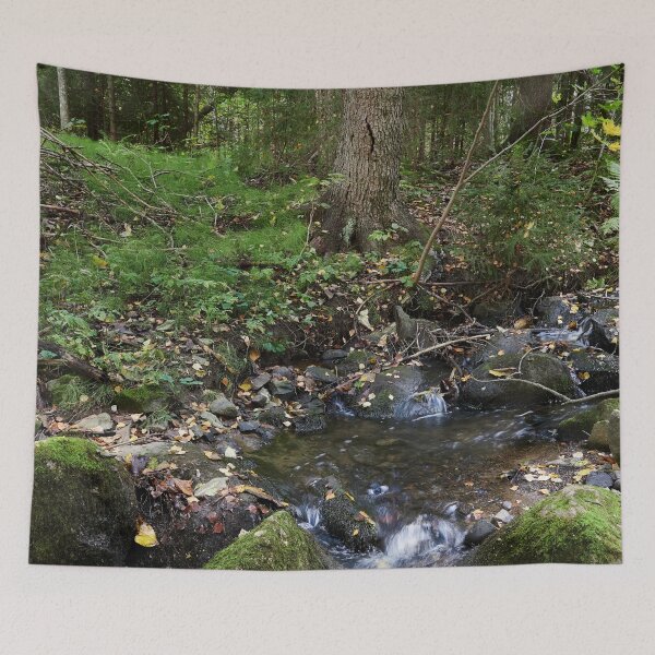 Item preview, By the brook.. Haavisto 2024 designed and sold by Jouko Lehto Photography.