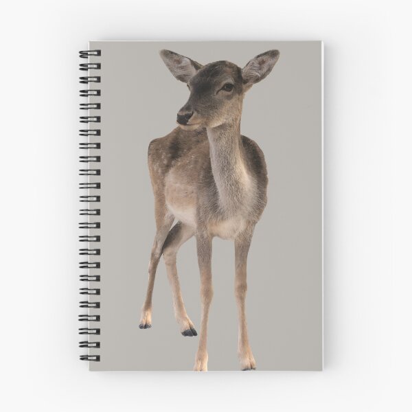 Item preview, Young deer designed and sold by suekieper.