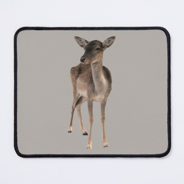 Item preview, Young deer designed and sold by suekieper.