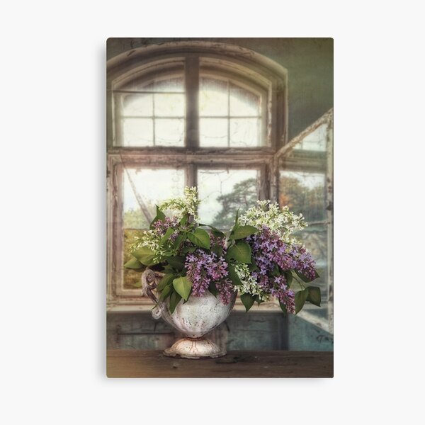 Lilacs in the window Canvas Print
