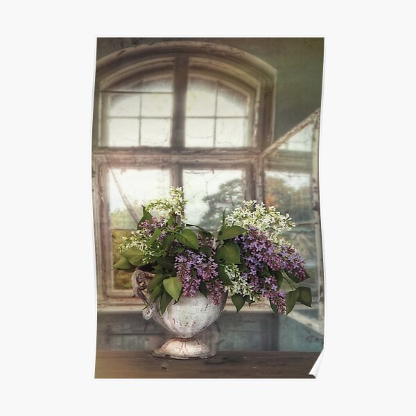 Lilacs in the window Poster