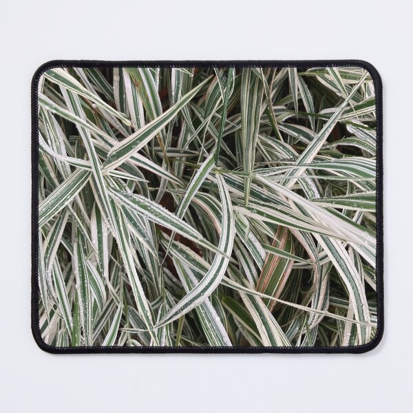 Item preview, Variegated Plants  designed and sold by Amanda1775.
