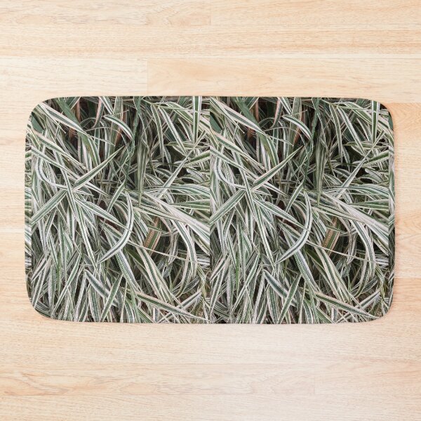 Item preview, Variegated Plants  designed and sold by Amanda1775.