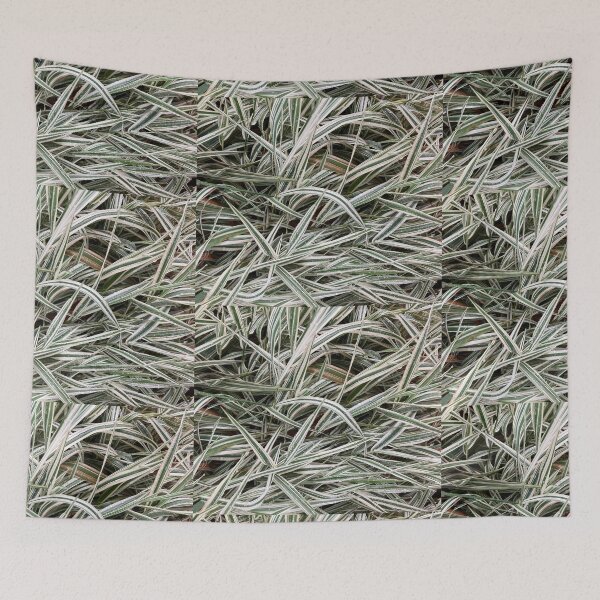 Item preview, Variegated Plants  designed and sold by Amanda1775.