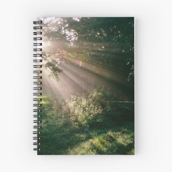 Item preview, Rays of light, Somerset, UK designed and sold by JonDelorme.
