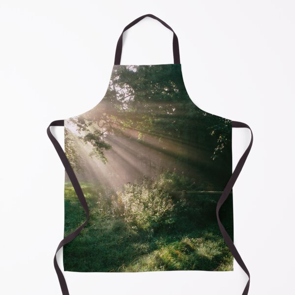 Item preview, Rays of light, Somerset, UK designed and sold by JonDelorme.