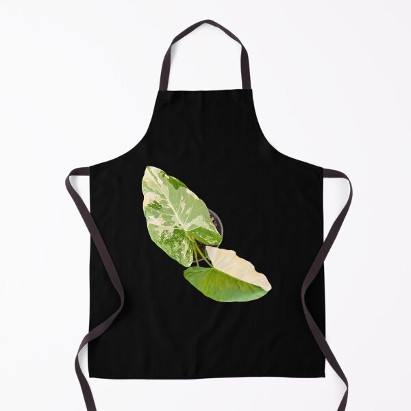 Item preview, Alocasia variegated designed and sold by Meo Design.