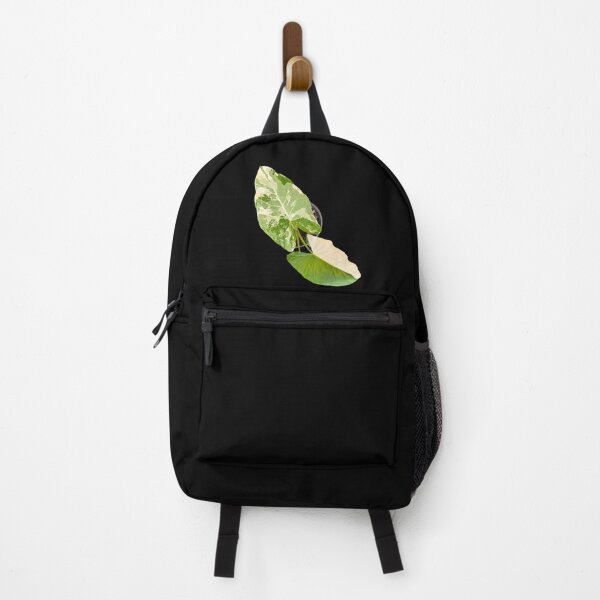 Item preview, Alocasia variegated designed and sold by Meo Design.