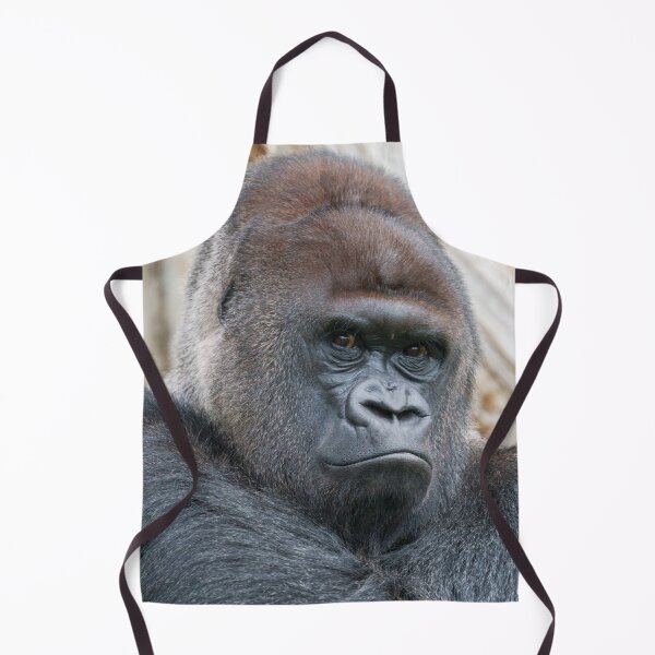 Item preview, Bobo's Commanding Gaze designed and sold by rawshutterbug.