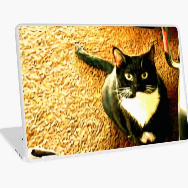 Aperçu de l'œuvre Chat curieux créée et vendue par ontological.