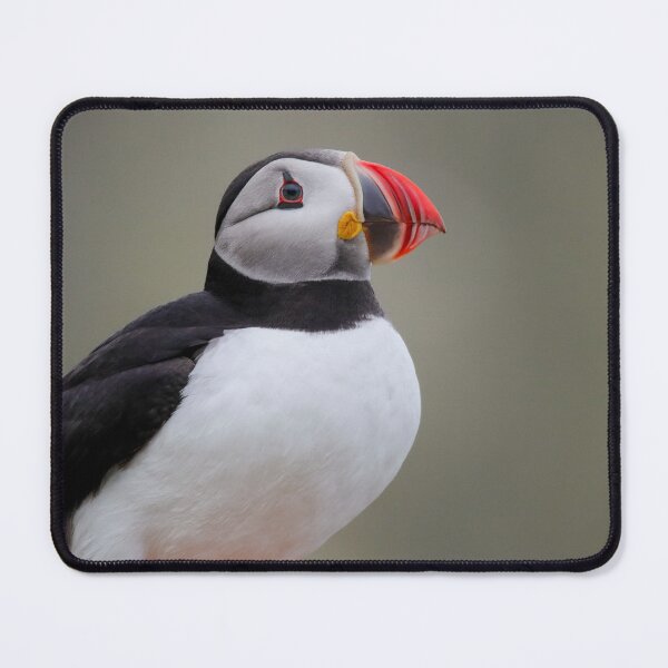 Item preview, Look Up! designed and sold by Julie Wilkinson.