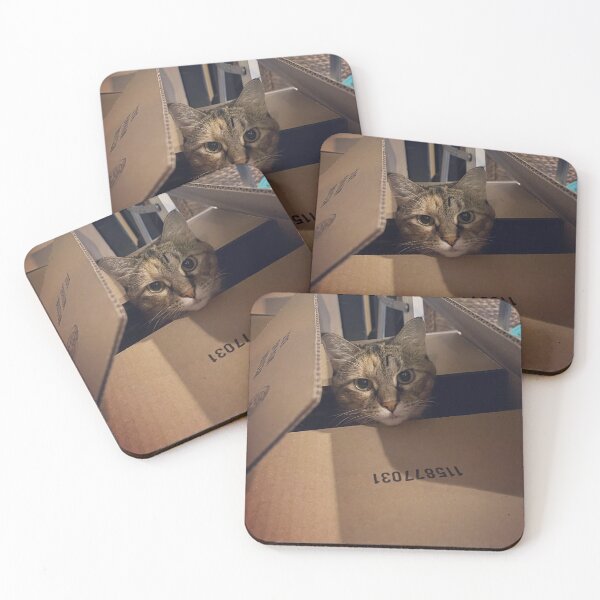 Item preview, Cat in a Box designed and sold by Pizzawaldo.