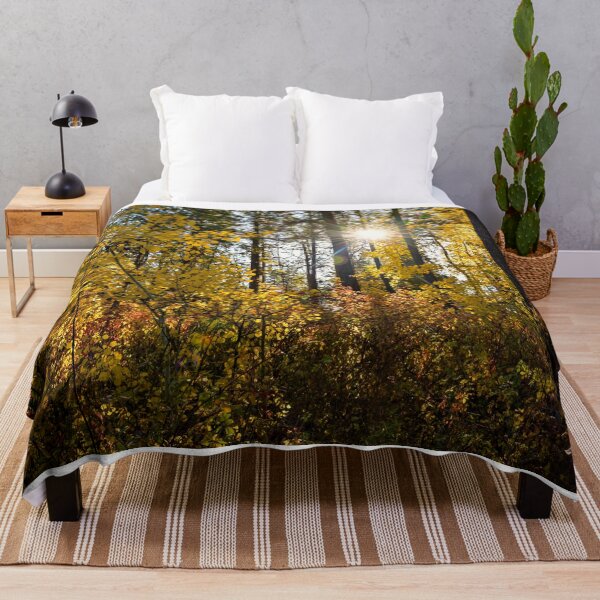 Item preview, Sunburst through fall trees designed and sold by Cblifeisgood.