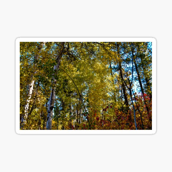 Item preview, Fall colors designed and sold by Cblifeisgood.