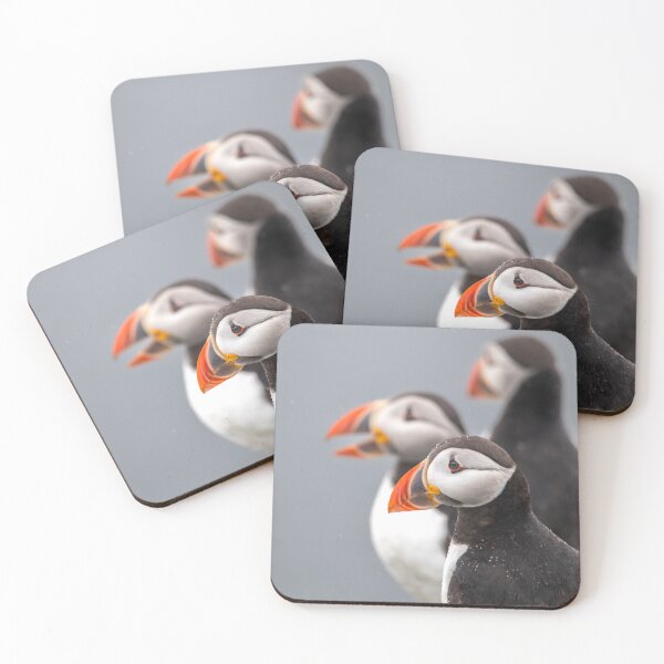 Item preview, Puffin Trio designed and sold by Julie Wilkinson.