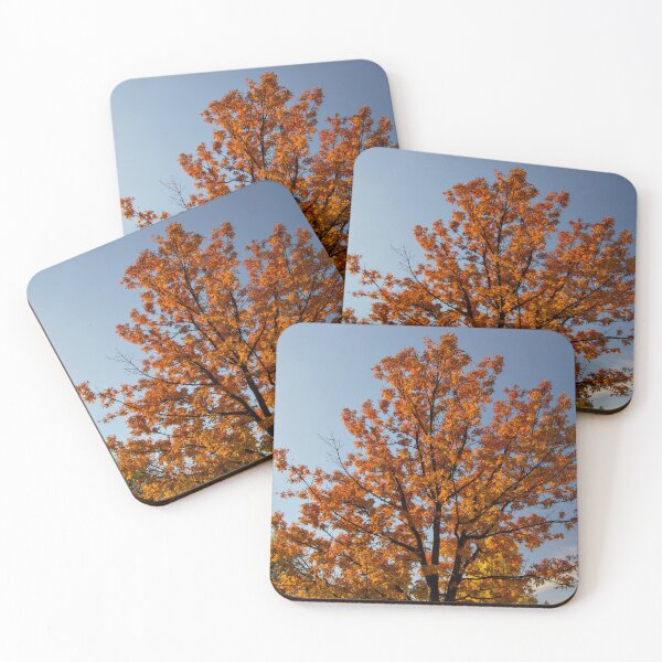 Item preview, Fall colors p5 designed and sold by Cblifeisgood.