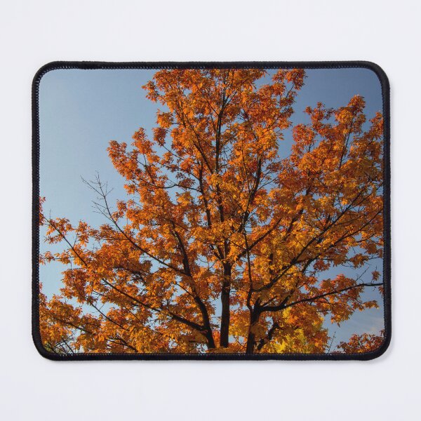Item preview, Fall colors p5 designed and sold by Cblifeisgood.