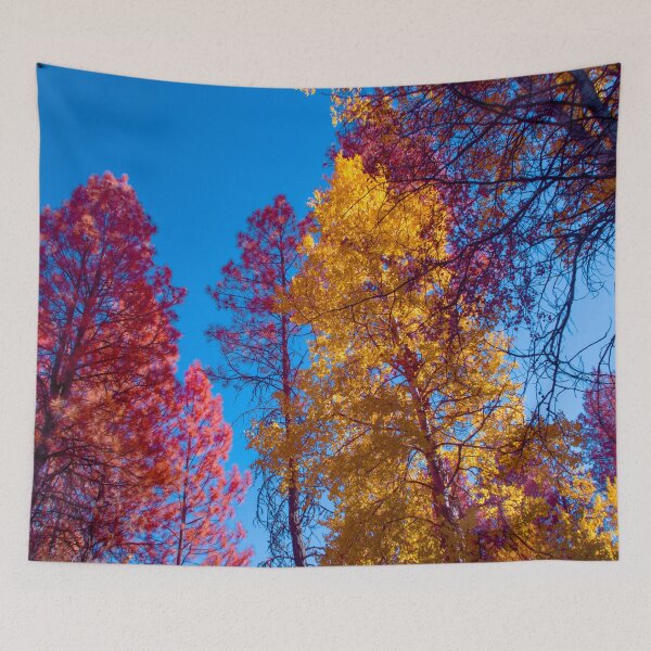 Item preview, Fall colors in IR Chrome p1 designed and sold by Cblifeisgood.