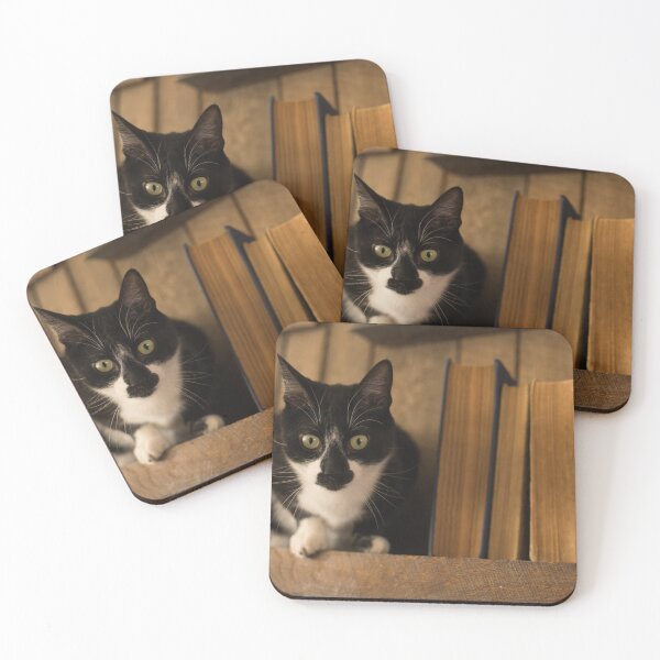 Item preview, Cat with Books designed and sold by katevernaphoto.