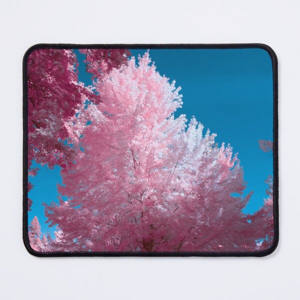 Item preview, Park tree in 590nm pink edit designed and sold by Cblifeisgood.