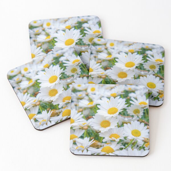 Item preview, Marguerite daisies in a field of grass designed and sold by Luka Šper.