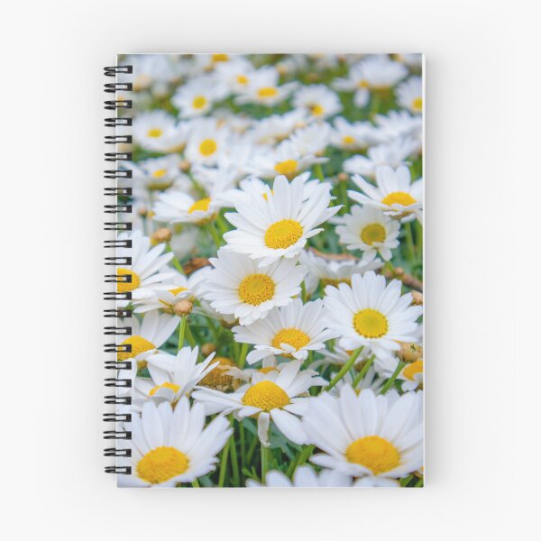 Item preview, Marguerite daisies in a field of grass designed and sold by Luka Šper.