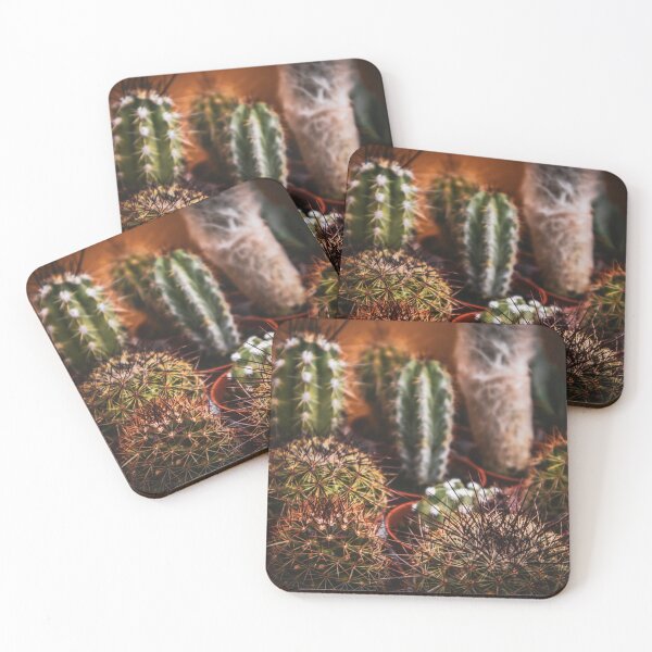 Item preview, Many small house cacti designed and sold by Luka Šper.