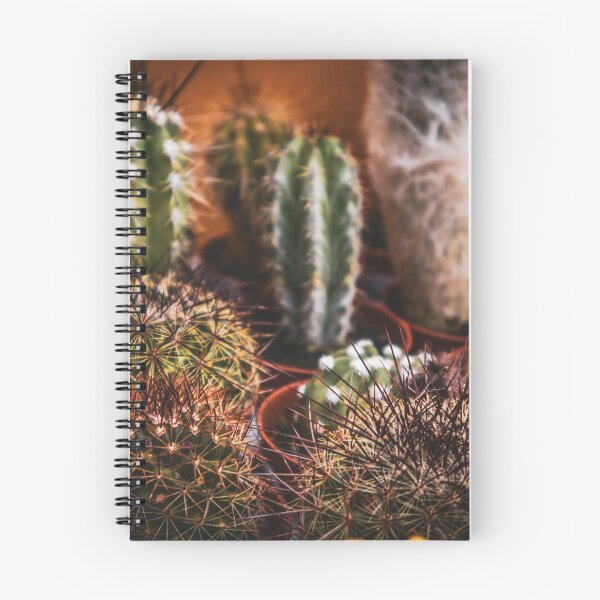 Item preview, Many small house cacti designed and sold by Luka Šper.