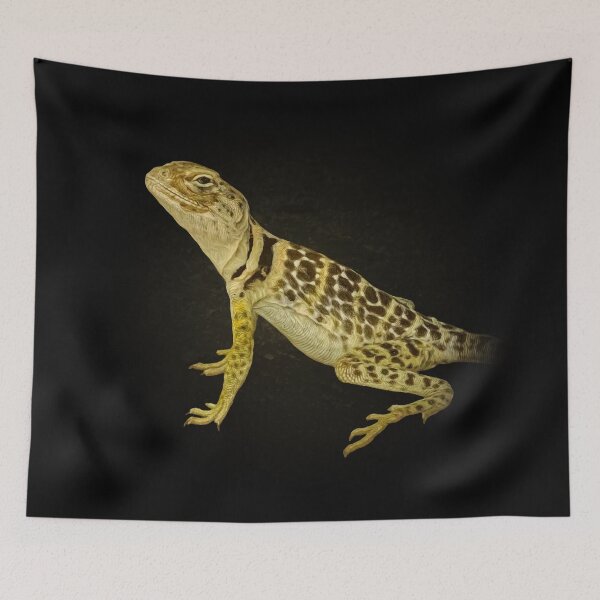 Item preview, Collared lizard designed and sold by Guardi71.