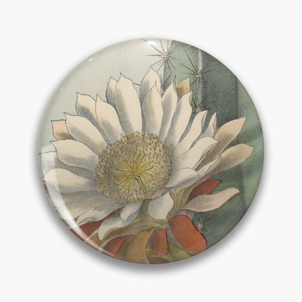 Item preview, Cereus repandus designed and sold by Lloyd Library & Museum.