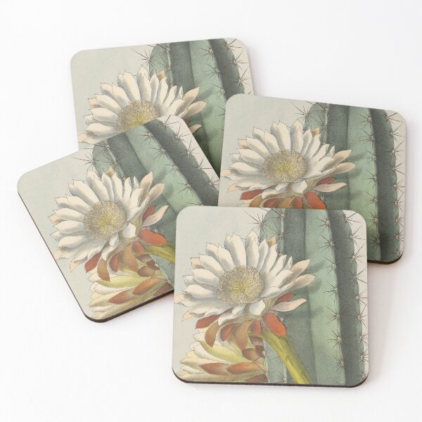 Item preview, Cereus repandus designed and sold by Lloyd Library & Museum.