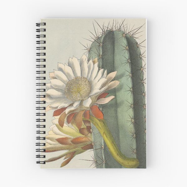 Item preview, Cereus repandus designed and sold by Lloyd Library & Museum.
