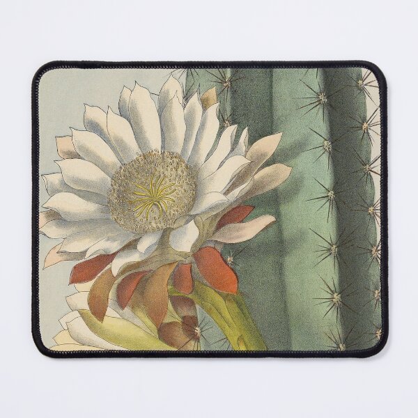 Item preview, Cereus repandus designed and sold by Lloyd Library & Museum.