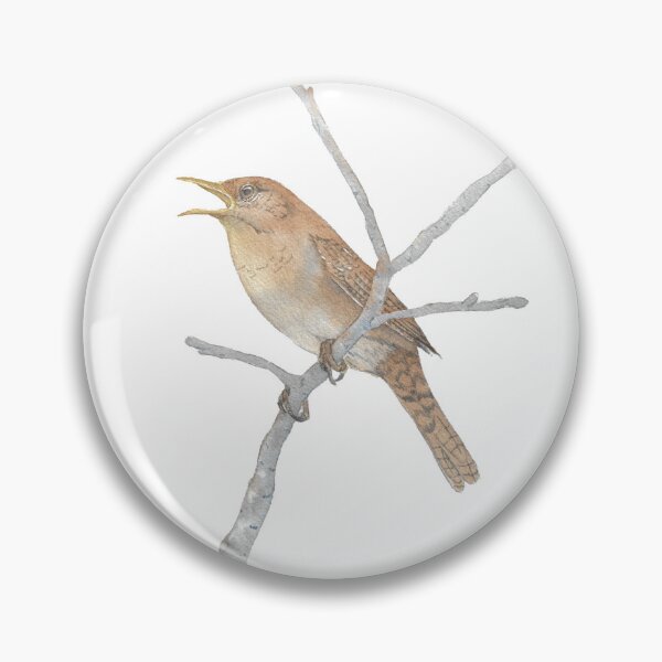 Item preview, northern house wren (Troglodytes aedon) watercolor 2 designed and sold by L'Atelier Oranjade.