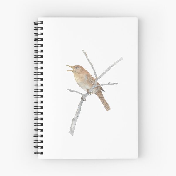 Item preview, northern house wren (Troglodytes aedon) watercolor 2 designed and sold by L'Atelier Oranjade.