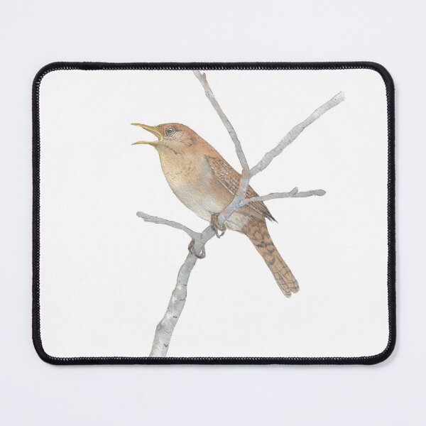 Item preview, northern house wren (Troglodytes aedon) watercolor 2 designed and sold by L'Atelier Oranjade.