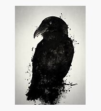 The Raven Photographic Print