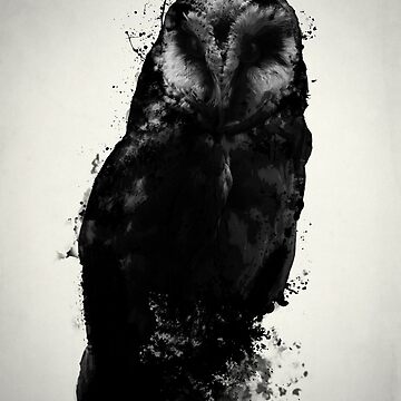 Artwork thumbnail, The Owl by Nicklas81