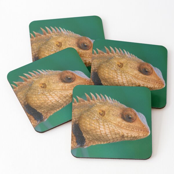 Item preview, Insects designed and sold by Manan9321.