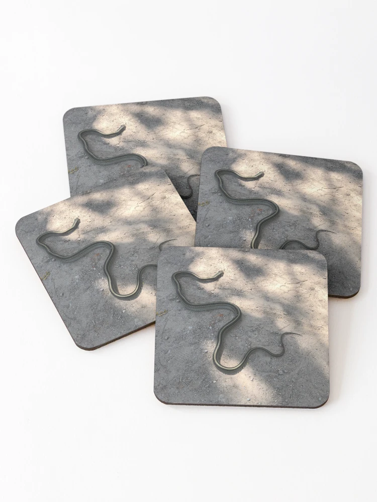 Thumbnail 1 of 5, Coasters (Set of 4), Snake designed and sold by RDLT.