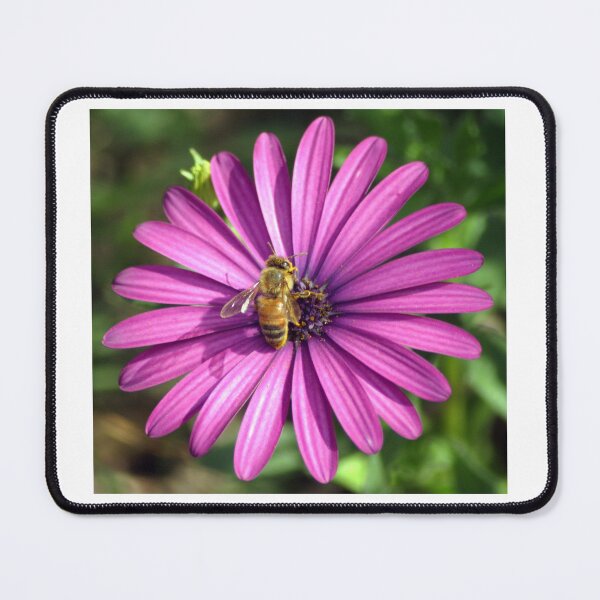 Item preview, Buzz designed and sold by Stingray.