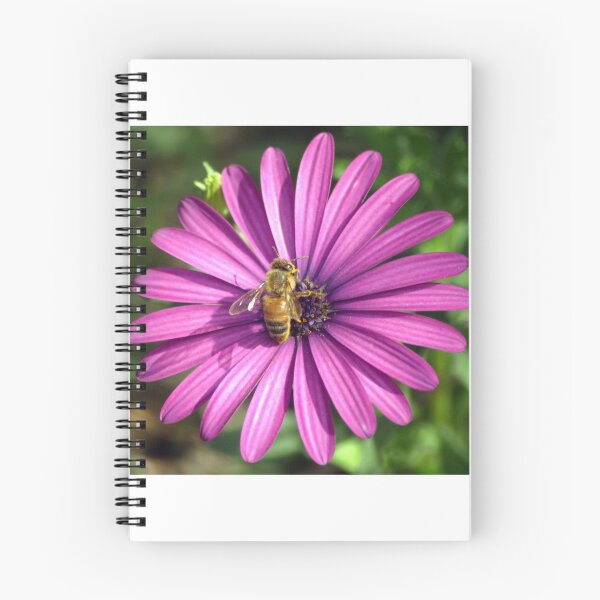 Item preview, Buzz designed and sold by Stingray.