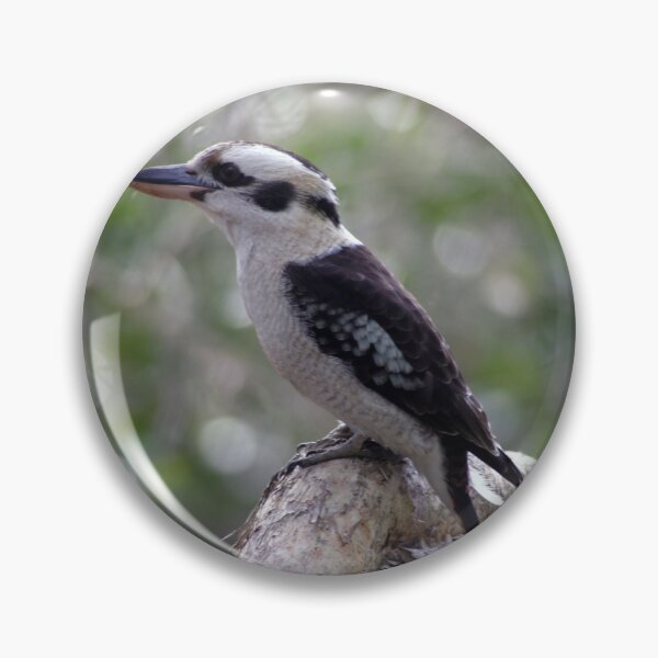 Item preview, Laughing Kookaburra designed and sold by Stingray.