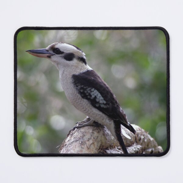 Item preview, Laughing Kookaburra designed and sold by Stingray.