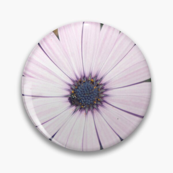 Item preview, Osteospermum - African Daisy designed and sold by Stingray.