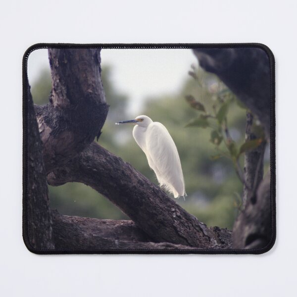 Item preview, Cattle Egret designed and sold by Stingray.