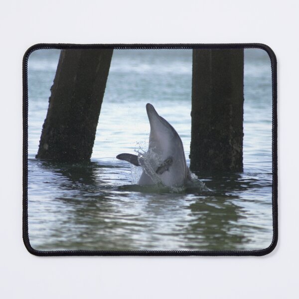 Item preview, Dolphin Playing designed and sold by Stingray.