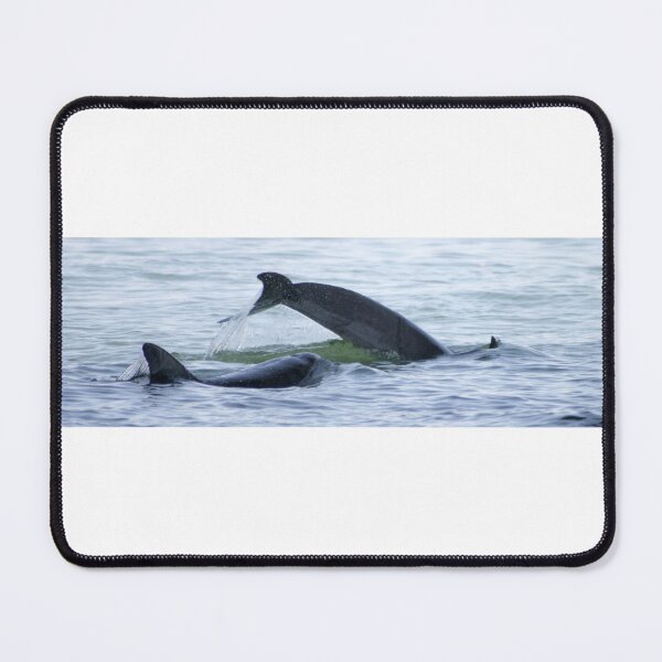 Item preview, Dolphins Swimming designed and sold by Stingray.